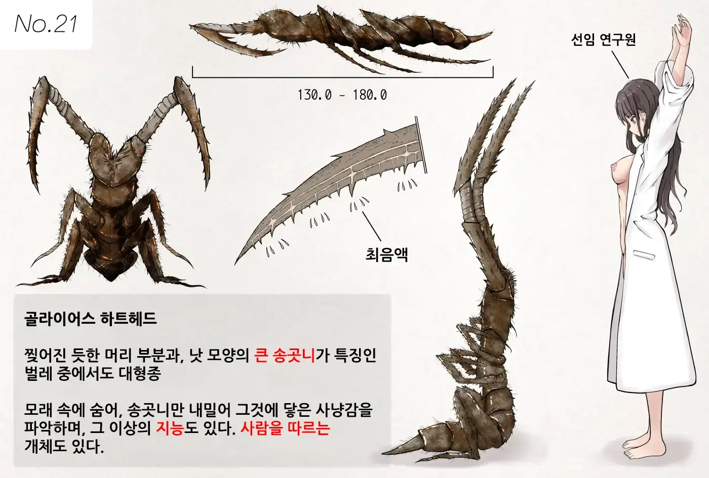 Insect Research Report